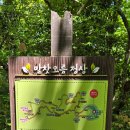 [목요산행] 5월 둘째 주(말찻오름~마흐니오름~가친오름) 이미지