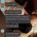 하이펫(개꿈꾸는 고양이) | 8月1日-31日_가장 여름 같은 여름