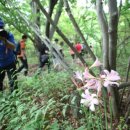 왕피천생태탐방로 이미지