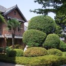 임시수도기념관 이미지