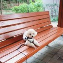 나나와메이 이미지