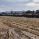 원당리농장 이미지