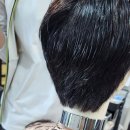 남성컷트전문 이미지