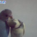 파라이