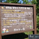 한비숲 이미지