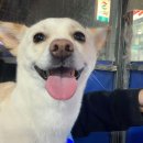 만둔사지 이미지