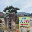 보경사힐링캠핑장 | 대구근교로 가기좋은 겹벚꽃과 수영장을 즐길수있는 포항 보경사힐링캠핑장