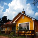 허브캐슬 이미지