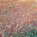 마음담은내과의원 이미지