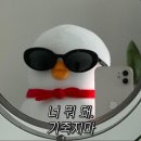 블랙루머다이오트 이미지