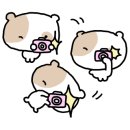 압구정흑백셀프사진관데이트코스하프스튜디오 이미지