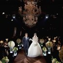 스테이그라피 이미지