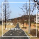 3월 마지막 주 일상 기록 및 독서 기록: 추리소설 읽기