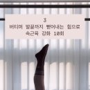 필라디아 이미지