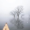 청평아이리스 이미지