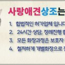 남양주반려견장례 의정부고양이화장 남양주애완견장례식장 의정부동물화장터 사랑애견상조.