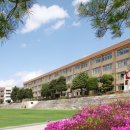 대전흥룡초등학교 이미지