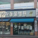 시민동물병원 이미지