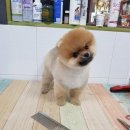 미소홈푸드 이미지