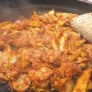 (주)에덴필드 | der April 2026 (2) 우리 일상, 가평 에덴벚꽃길 후기