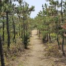 증도 관광안내소 이미지