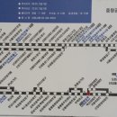 241오렌지 이미지