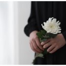 양주시청 이미지