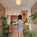 속초여행❤️ 동명항/단천식당/갯배/세렝게티커피/카페긷/동화가든/외옹치바다향기로/시드누아/한계령휴게소