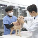 석촌호수동물병원 이미지