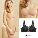 신영스포츠 이미지