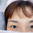 눈썹함다 네이버블로그