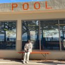 더풀(thepool) 이미지