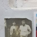 염동균복싱체육관 이미지