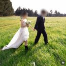 에이제이렌터카 | [W5 제주웨딩스냅 추천 : 스튜디오AJ x 브라이덜황 ]