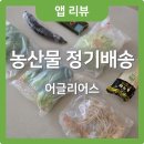 어글리어스🥦 못생겨도 맛있는, 내돈내산 후기 (추천인코드 비트418988)