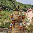 피노키오 이미지