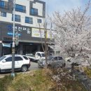 엔진마을 동남구점 이미지