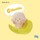 11545-12-06-16 | 임신 기록 EP. 06 : 16주 ~ 20주 증상 2차 기형아 검사 고위험군 17주 니프티 검사 후기