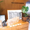 TREVI COFFEE ROASTERS 이미지