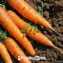 수원요양병원 이미지