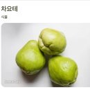[서울/송파] 스폰티니 롯데월드 어드벤처점 | 스폰티니 잠실 조각피자 맛집 더블치즈 마르게리따 잠봉...