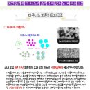 진건약품 이미지