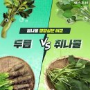 [카드뉴스] 두릅 VS 취나물, 봄나물 영양성분 비교 이미지