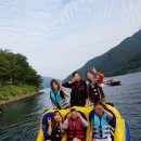 시를 쓰는 오리 이미지