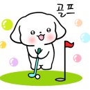 남동서비스기아오토큐(주) 이미지