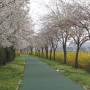 여강길(10코스 천년도자길) | 여강길10코스:천년도자길