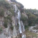 주말에 정읍 산내 구절초 축제 이미지