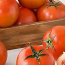 의인농장 이미지