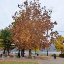 두물머리화장실(나루터) 이미지