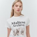 와이케이 더블유 이미지